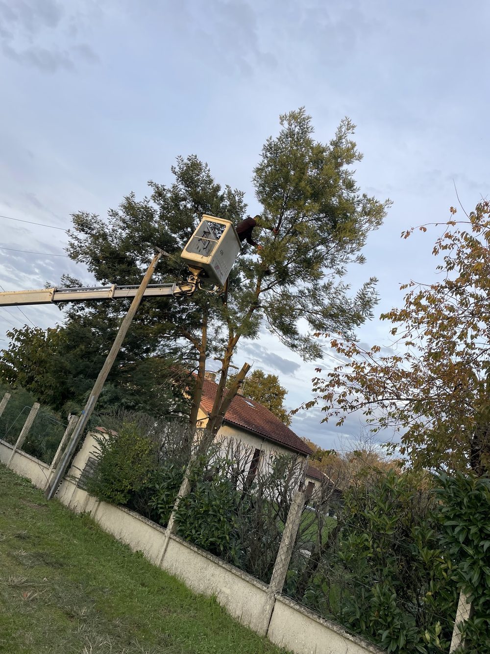 Taille en hauteur