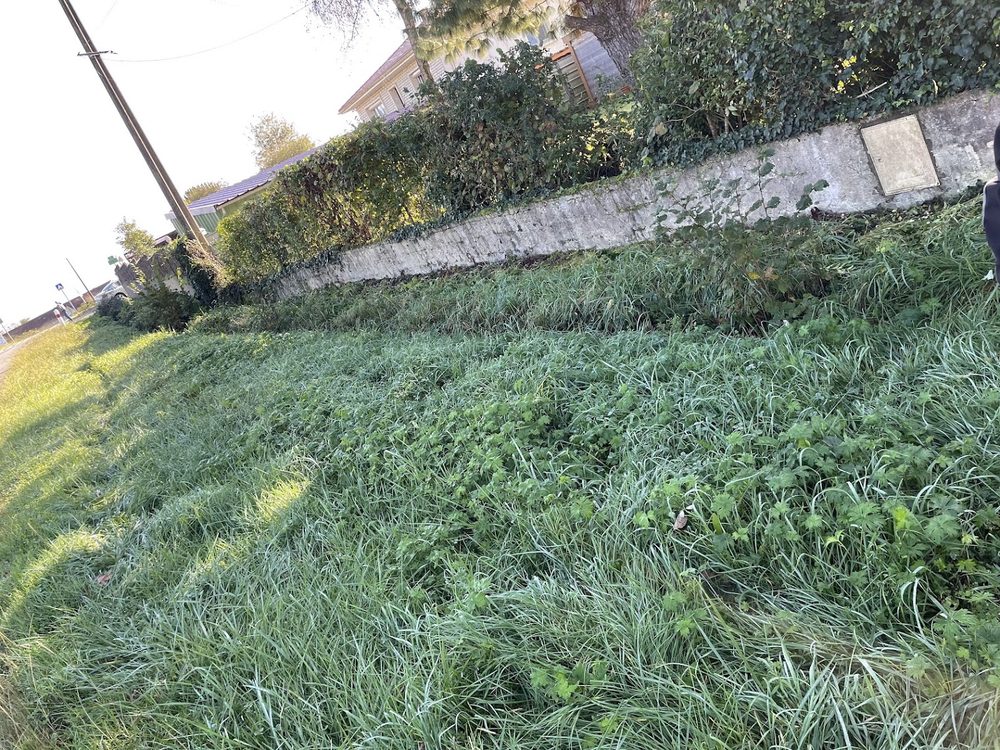 Entretien de parc et jardin en Gironde