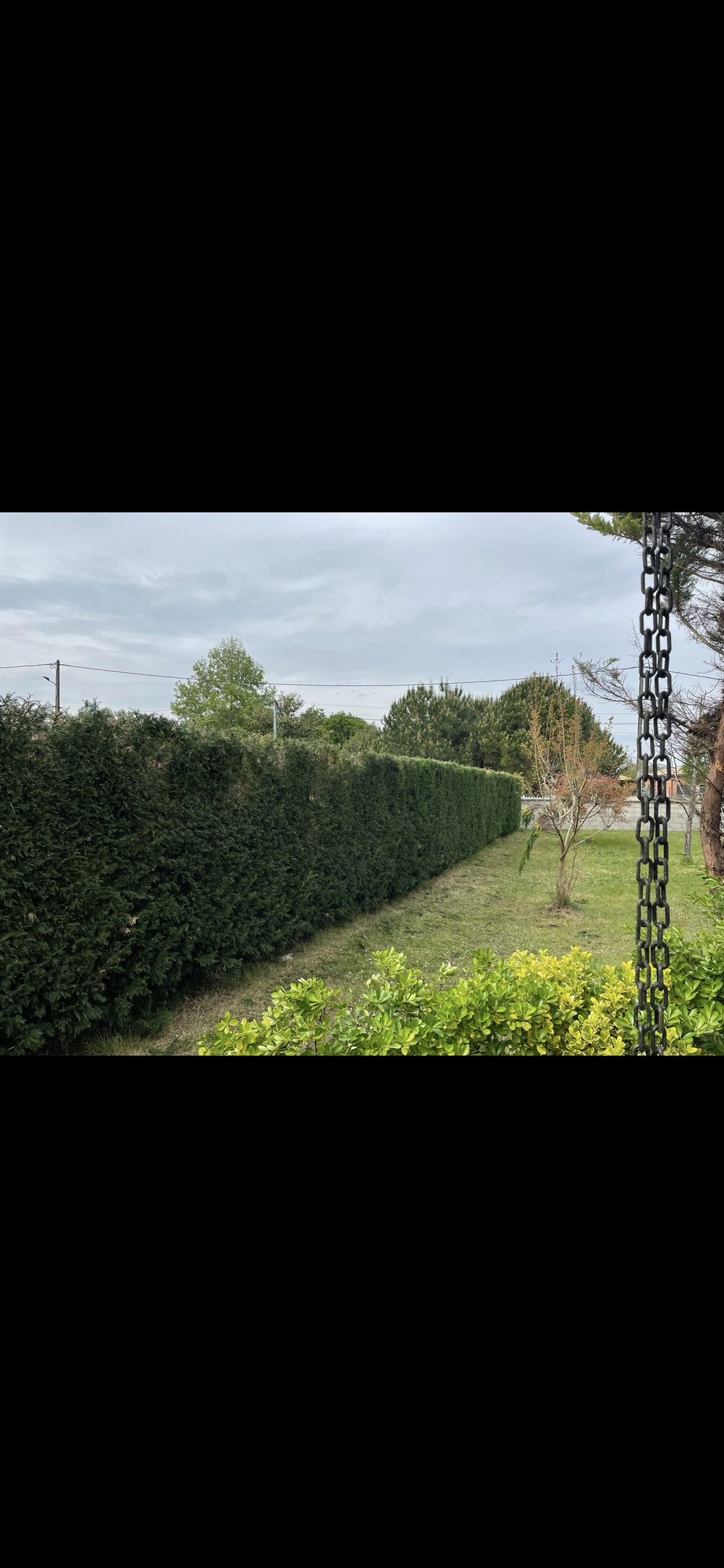 Taille de haies en Gironde